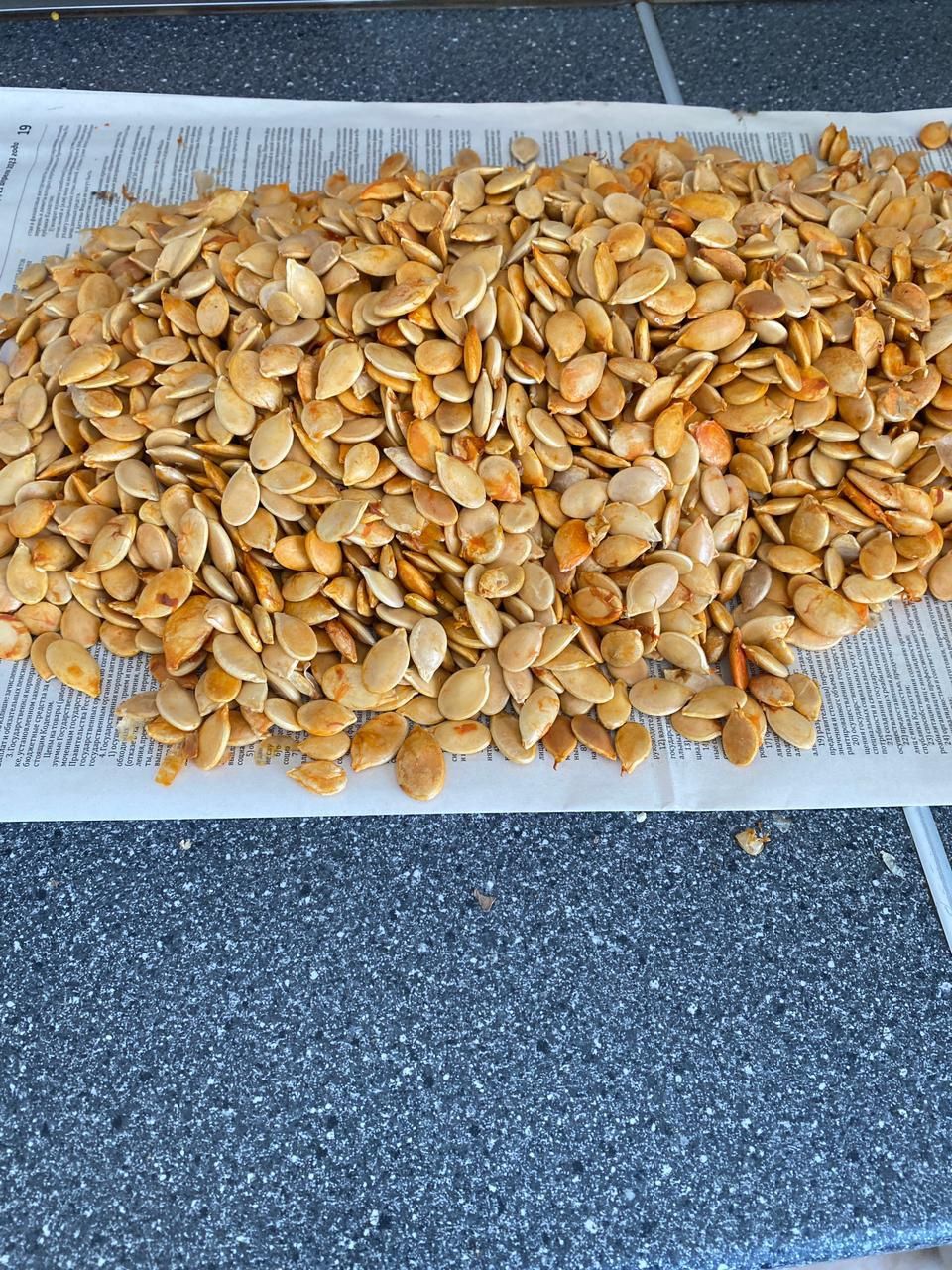 Семена тыквы турпанка. Цена за кг 5000 тг.