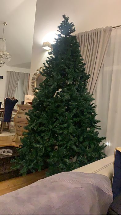 Vand brad de craciun 3m