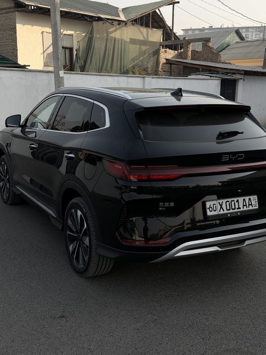 BYD champion 2025 Smart