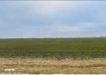 Teren Extravilan Cerna, ID: R2581973