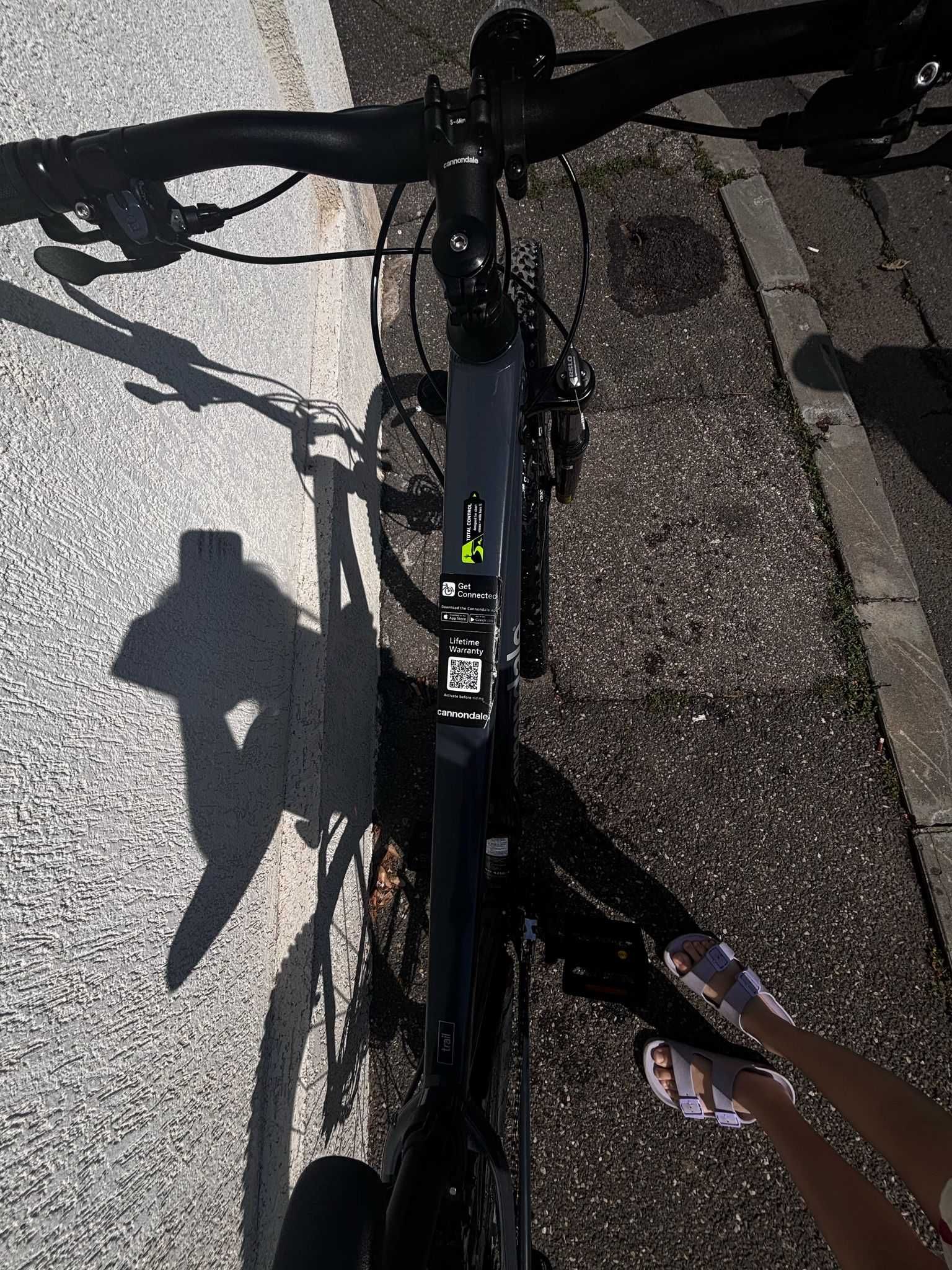 MTB Cannondale Trail 6 2024