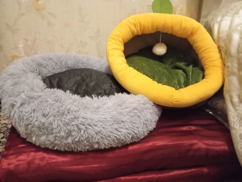 Продам лежанки для Котят каждая по 3000 тг