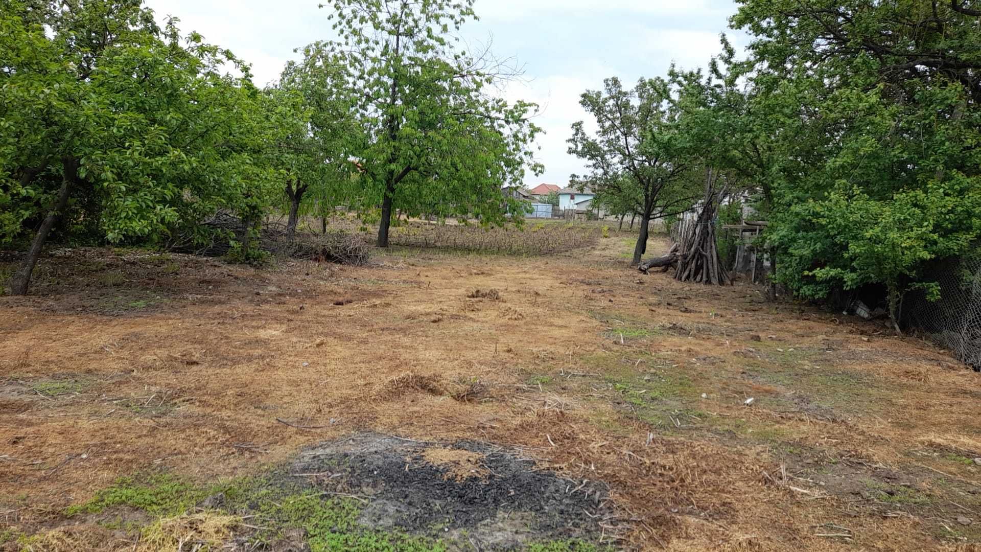 Casa cu teren de vanzare Basarabi(Calafat)