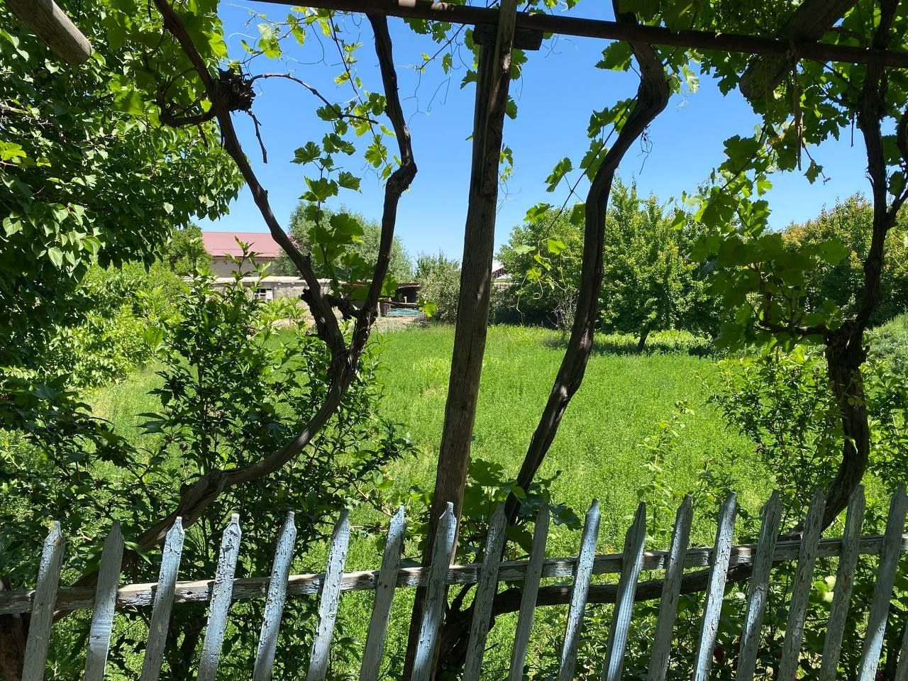 Uchaska Gala Osiyo