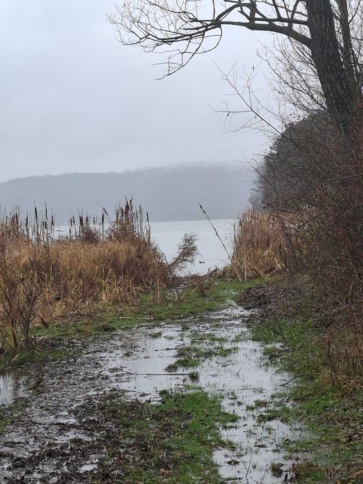 ПРОДАВА СЕ ПАРЦЕЛ 2 853 кв.м в община Ковачевци, до язовир Пчелина