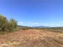 Sacalaseni la strada principala Teren intravilan 55 Ari