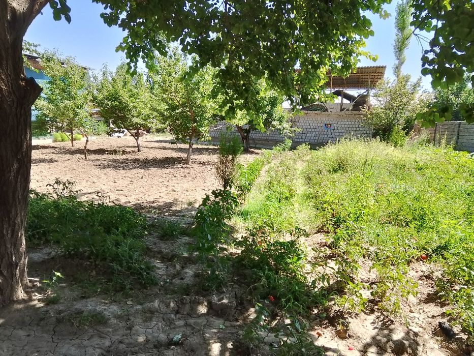 Продается дом ближе к Новому Ташкенту