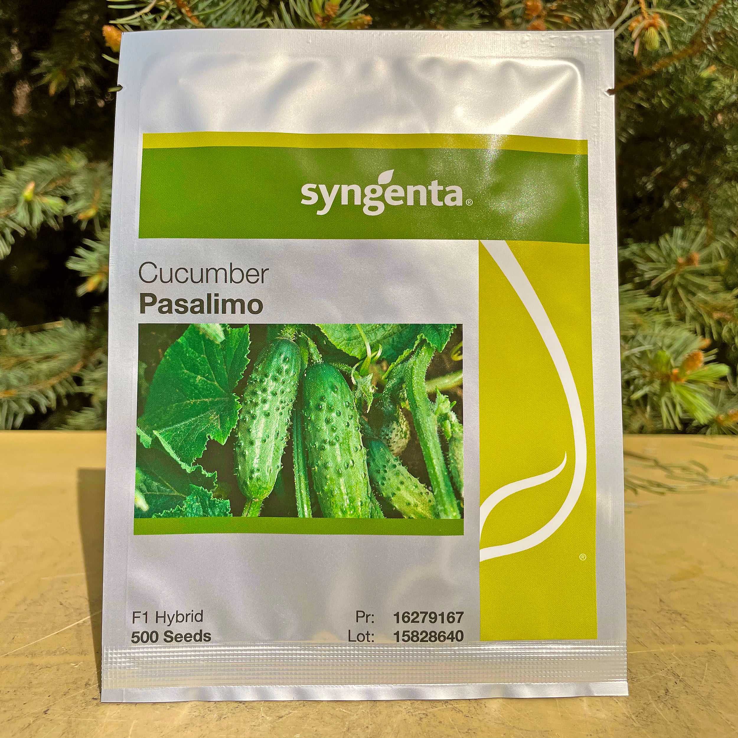 Семена огурцов Cucumber Pasalimo