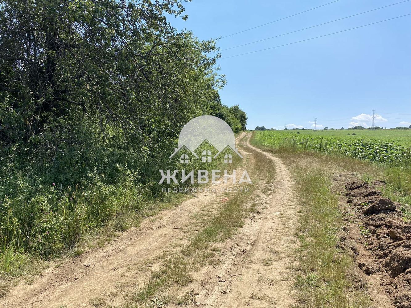 Парцел в м-т Перчемлията, с.о. Черноморска панорама, площ 9912 кв.м