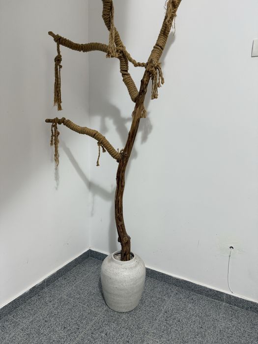 Copacel pentru pasari