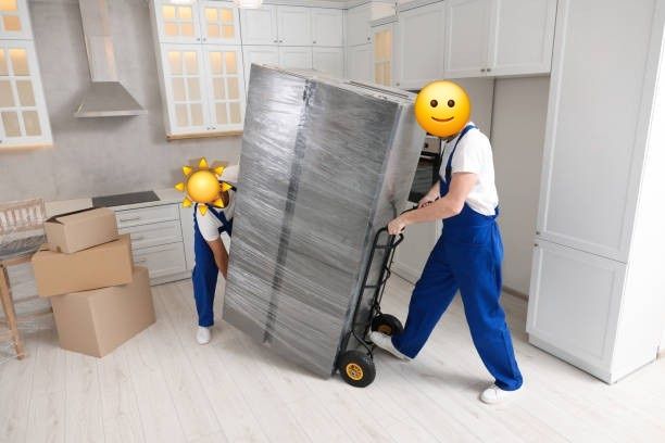 Echipă Serioasă Demolări Curățenie Montaj  Depozitare