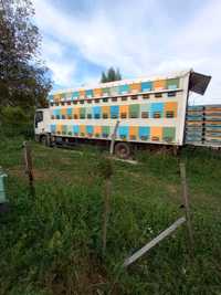 Vand stupina (camion) cu 90 de familii de albine