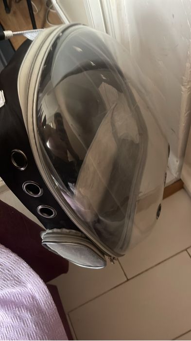 Переноска для кошек