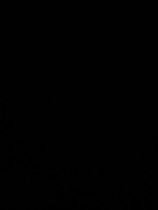 Donez Caini bichoni mai nulte detalii la tel