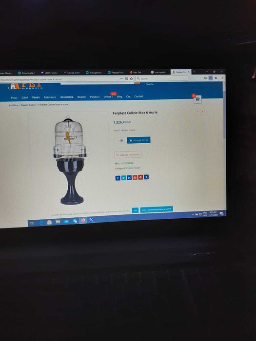 Vand voliera mare pasari exotice