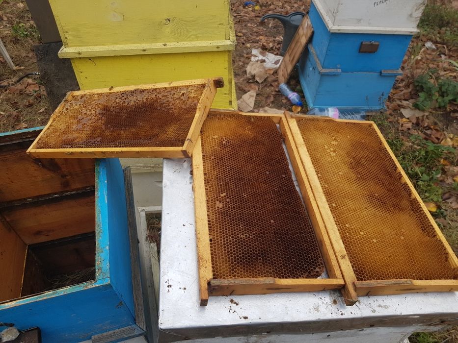 Изградени пчелни пити LR стандарт
