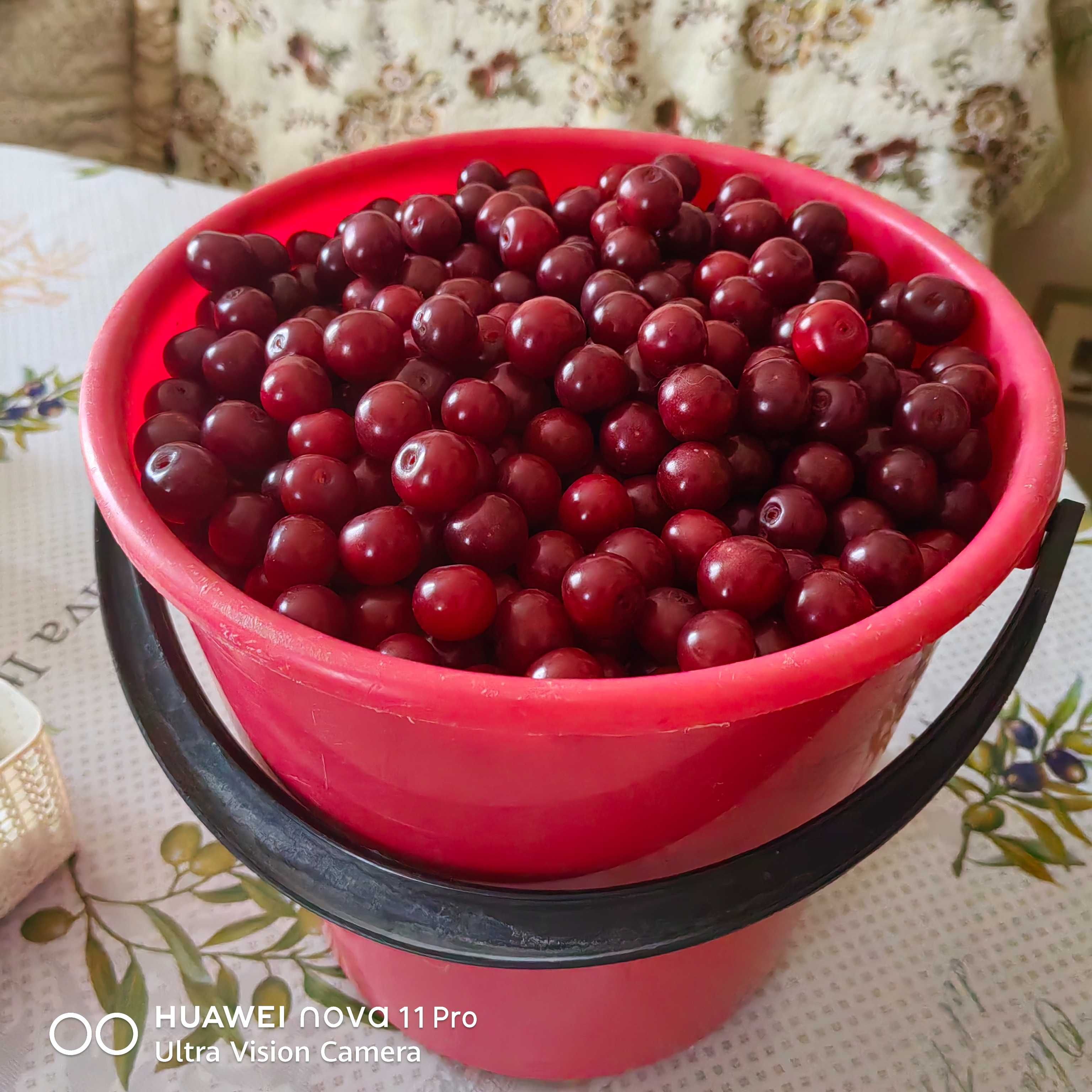 Продаю вишню, спелую вкусную, крупную, 700 тенге за 1 кг, доставка.