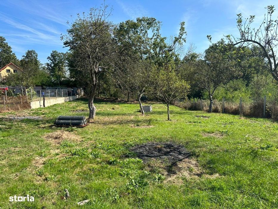 Teren drept intravilan km 6 Calea Caransebesului cca 2800  mp