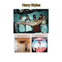 Виниловая пластинка Harry Styles