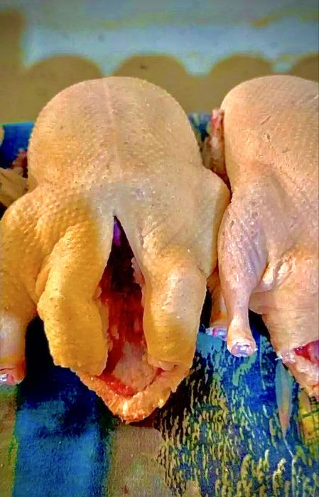 Мясо гуся.  Гусиный жир.