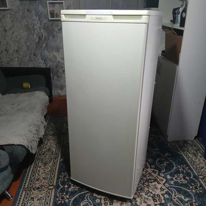 Холодильник Бирюса