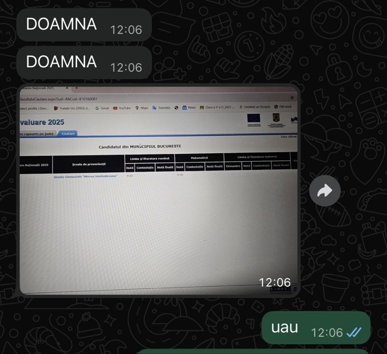 Meditații Limba și Literatura Română