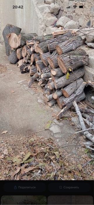 O’tin bor yong’oq daraxtiniki.