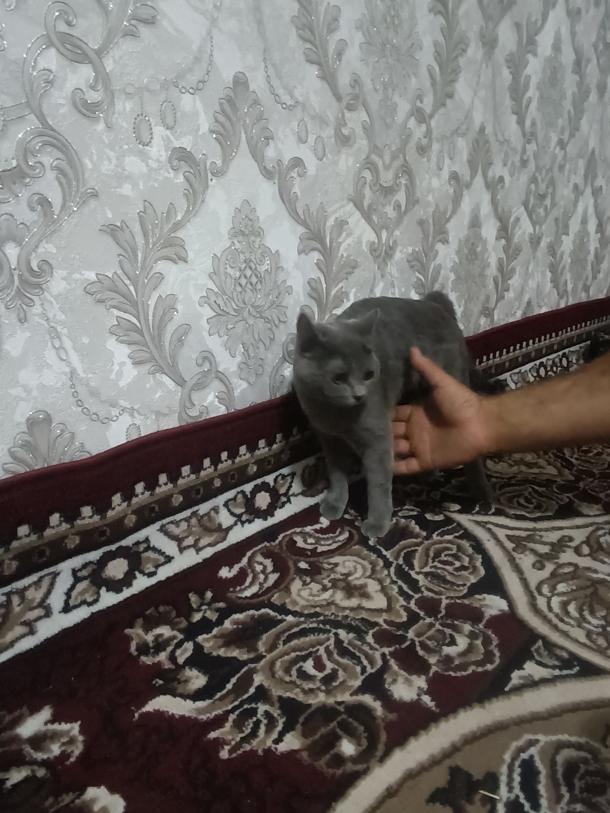 Samarqand viloyati Oqdaryo tumani