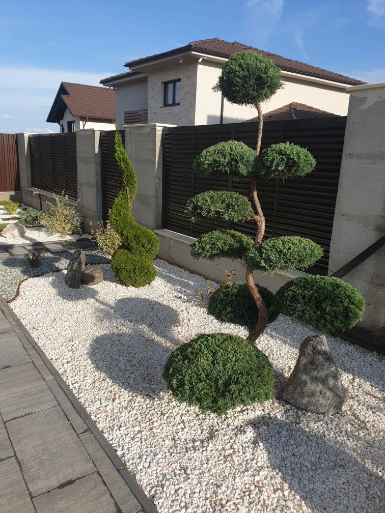 PAVAJ, Plante Ornamentale,Irigatii Automatizate