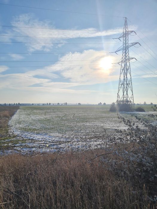 Teren de vanzare intravilan 10.000 mp, Paulesti, zona Parc Industrial