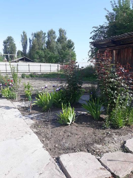 дом 150 кв.м. с участком 19 соток. Ташкентская область пос. Янги Хает