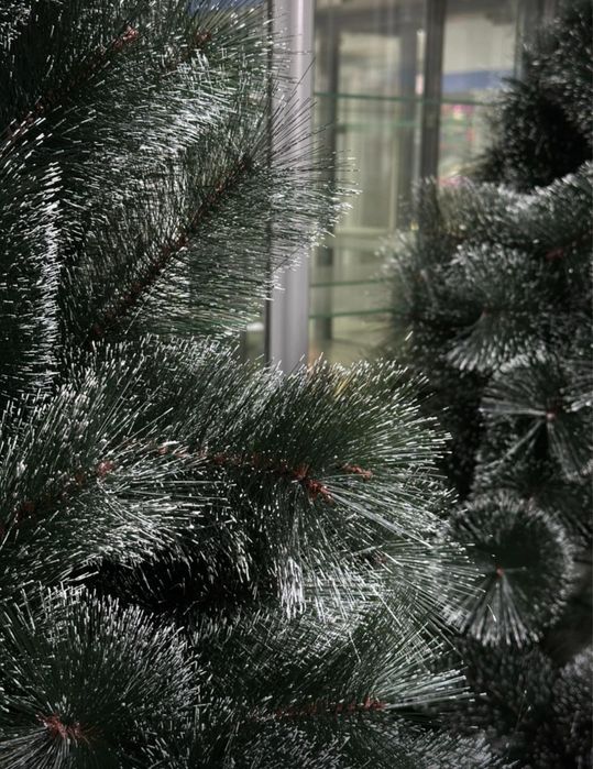 Продам елки разных размеров и форм,есть доставка