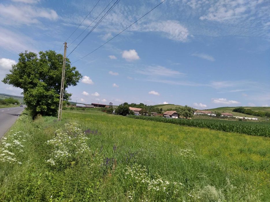 6.600 MP Intravilan, la marginea soselei asfaltate DJ 151 A, Mures