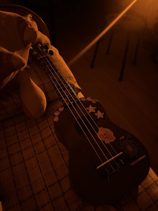 Укулеле (сопрано) новое