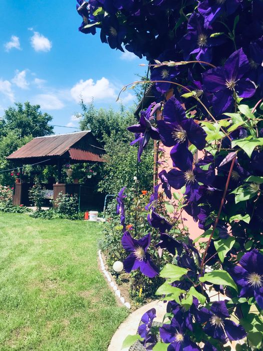 Cabana de inchiriat Someșul Cald Tarnita Disponibila de Revelion