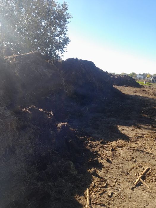 Gunoi de grajd de la animale (vaci, capre, oi)