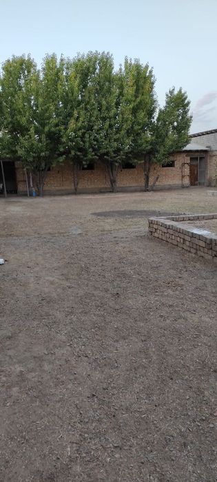 Уй сотилади 8 сотик!