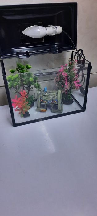 Продам-Новый Аквариум на 5 литров заводской