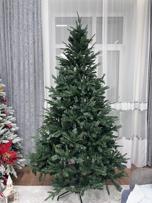 Ёлка королевская Khadi