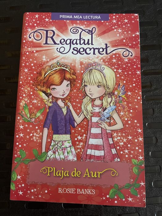 Regatul secret - carti pentru copii 6-10 ani