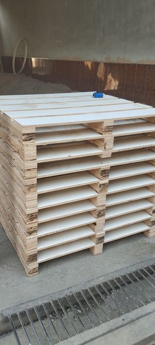 Падон янги холати тину фанердан