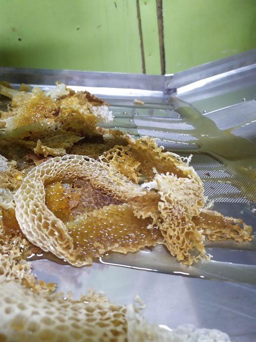 Пчелен мед букет,прополис(клей) и прашец Реколта 2024 г.