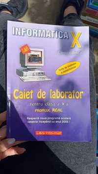 Caiet de laborator - Informatică clasa a Xa