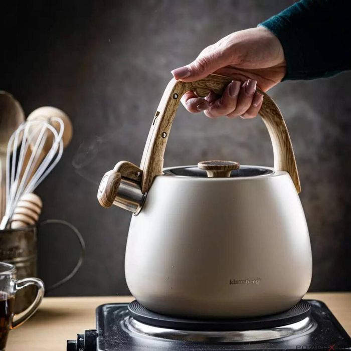 Ceainic, fierbator cu fluierat din otel inoxidabil, alb, cu maner din