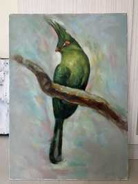 Маслена картина на птица Турако