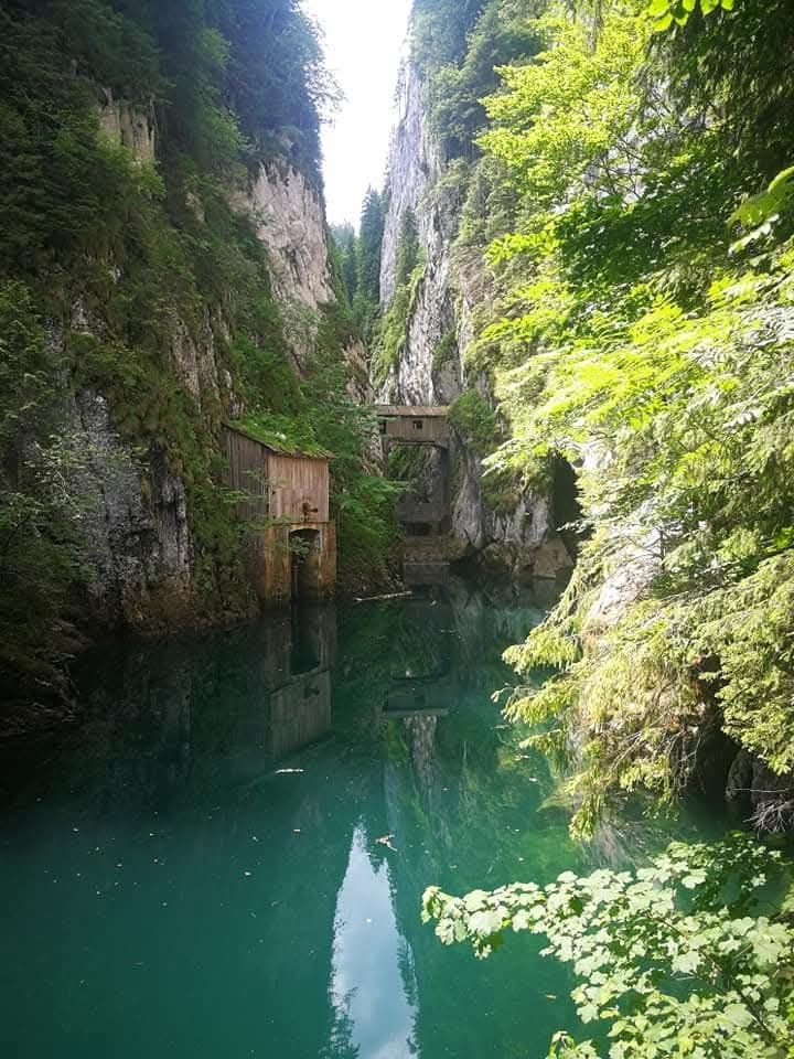 Excursii Montane in Bucegi și Piatra Craiului