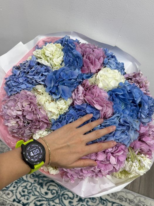 Garmin Fenix 7S Sapphire Solar — часы, которые подчёркивают стиль