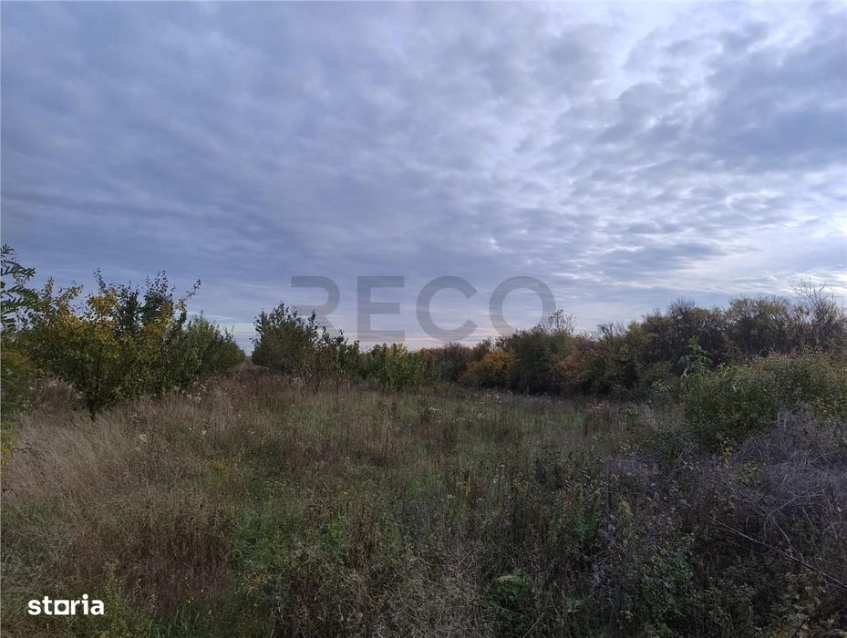 RECO Teren intravilan Miersig