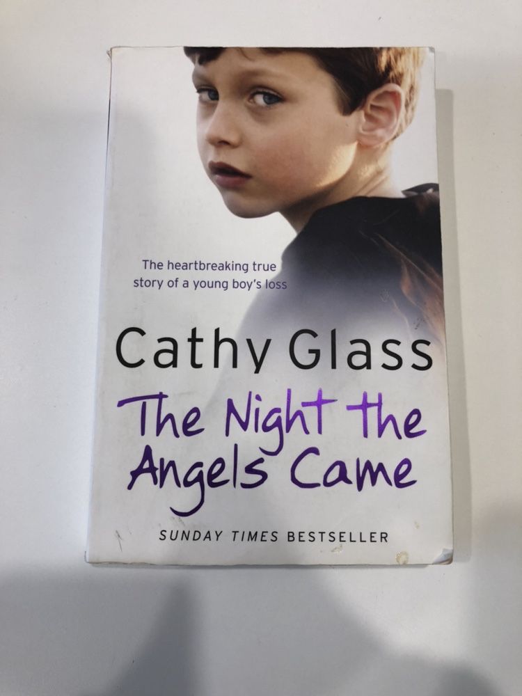 Cathy Glass the night the Angels came