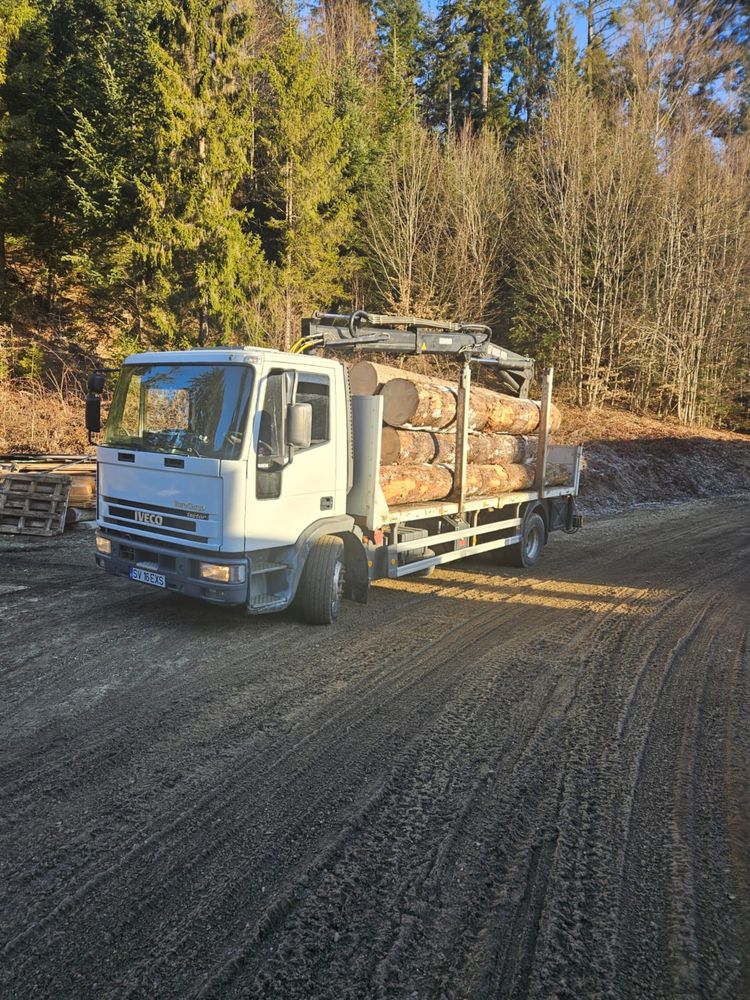 Vand camion forestier